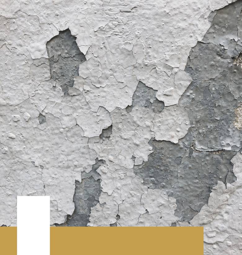 Stucco and Texture Coating