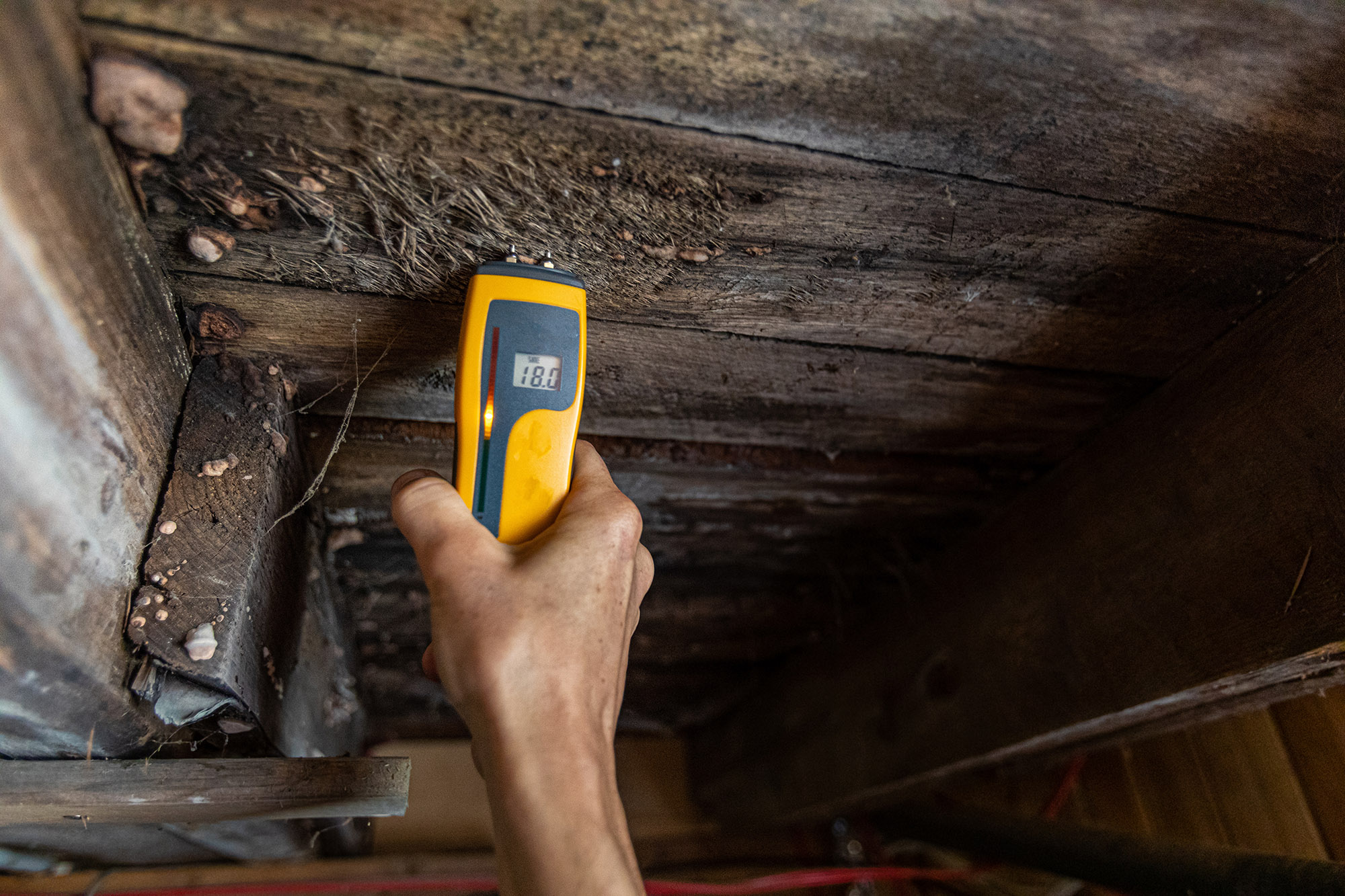 rotten molded wood